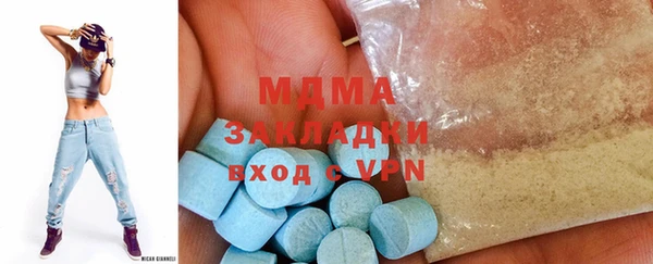 гашик Алексин