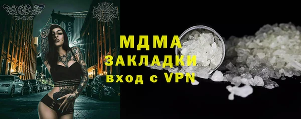 гашик Алексин