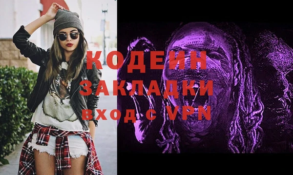 гашик Алексин