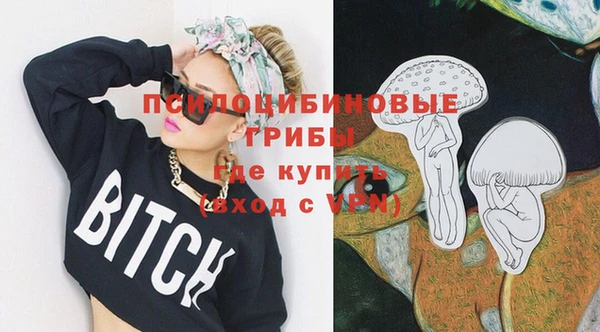 дмт Алзамай