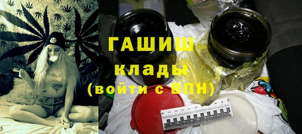 гашик Алексин