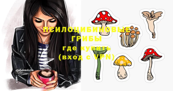 гашик Алексин