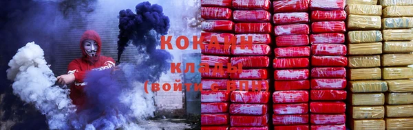 дмт Алзамай