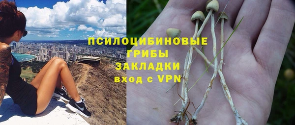 дмт Алзамай