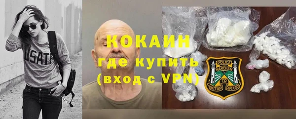 гашик Алексин